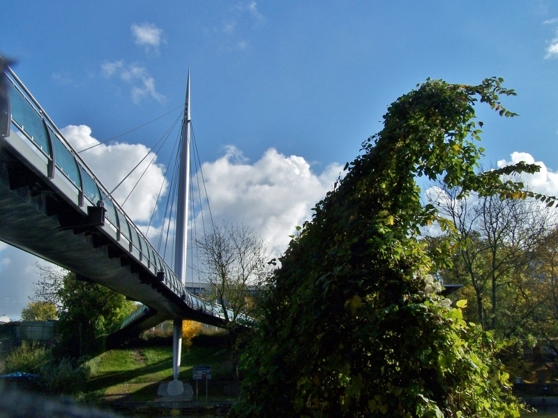 Rabeninselbrücke über die Saale in Böllberg in Halle (Saale)