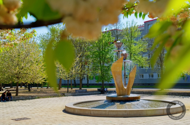 Tulpenbrunnen von Heinz Beberniß in Halle-Neustadt