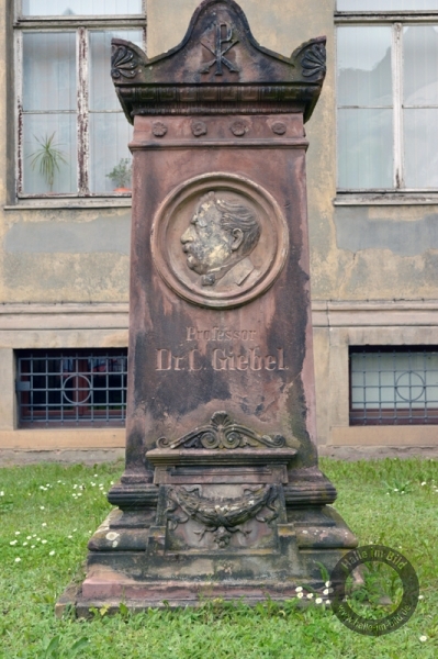 Dr. Gottfried Giebel (Denkmal)