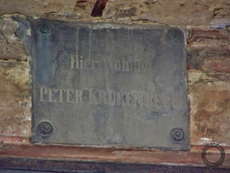 Gedenktafel für Peter Krukenberg in der Brüderstraße in Halle (Saale)