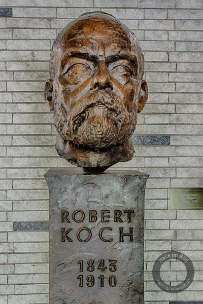 Denkmal für Robert Koch von Gerhard Geyer in Halle-Neustadt