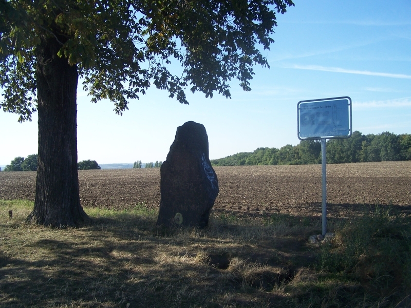 Franzosenstein (Menhir) in Seeben bei Halle (Saale)