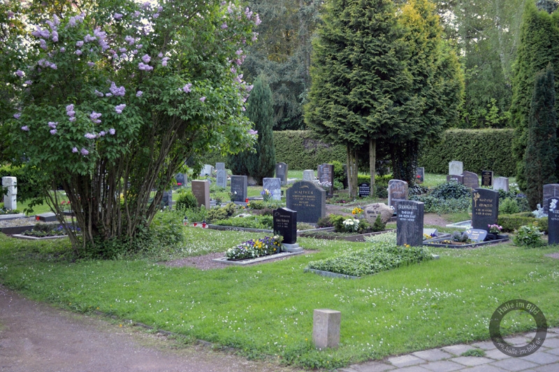 Friedhof Halle-Neustadt