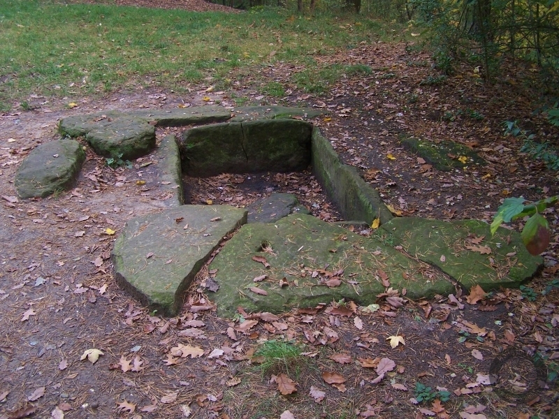 Steinkistengrab Kolkturmberg in der Dölauer Heide in Halle (Saale)
