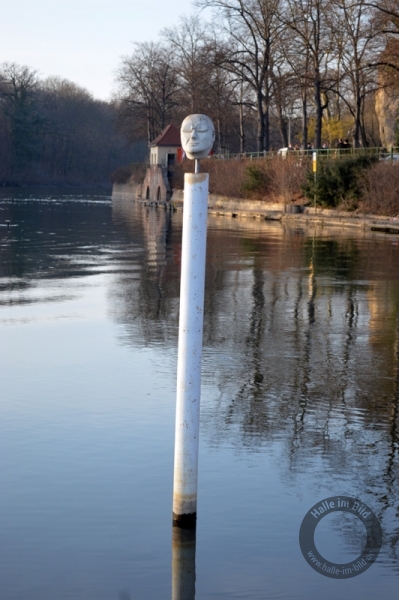 Der Saaleschwimmer an der Ziegelwiese in Halle (Saale)