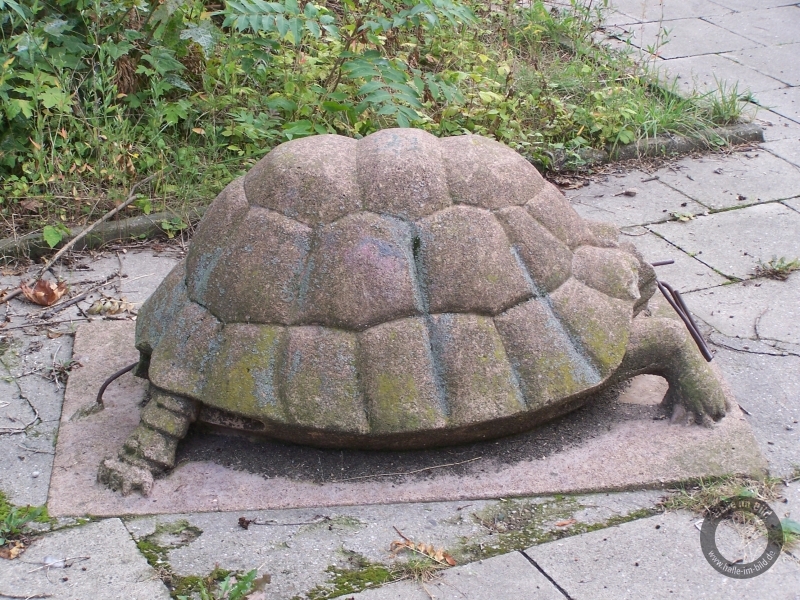 Schildkröte von Otto Leibe