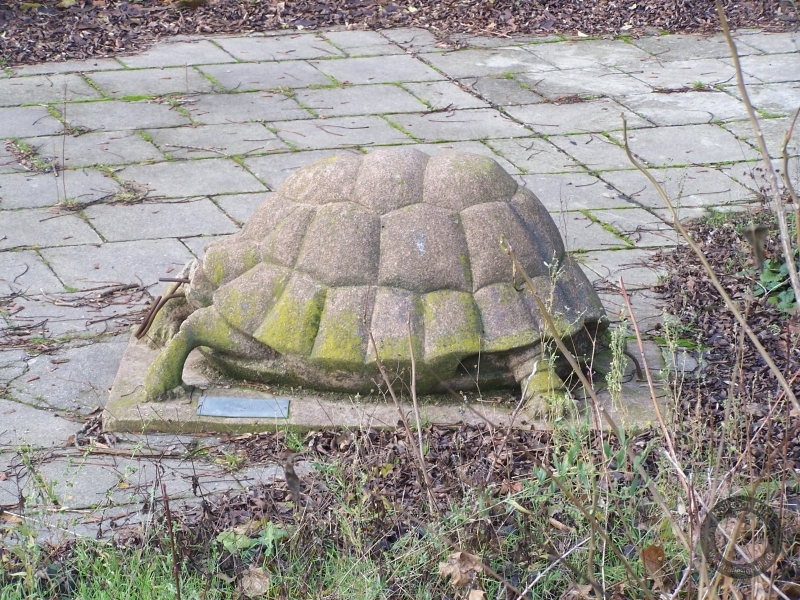 Schildkröte von Otto Leibe