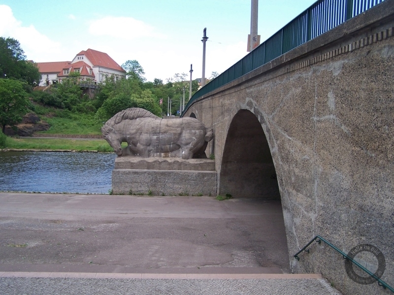 Pferd und Kuh an der Giebichensteinbrücke in Halle (Saale)