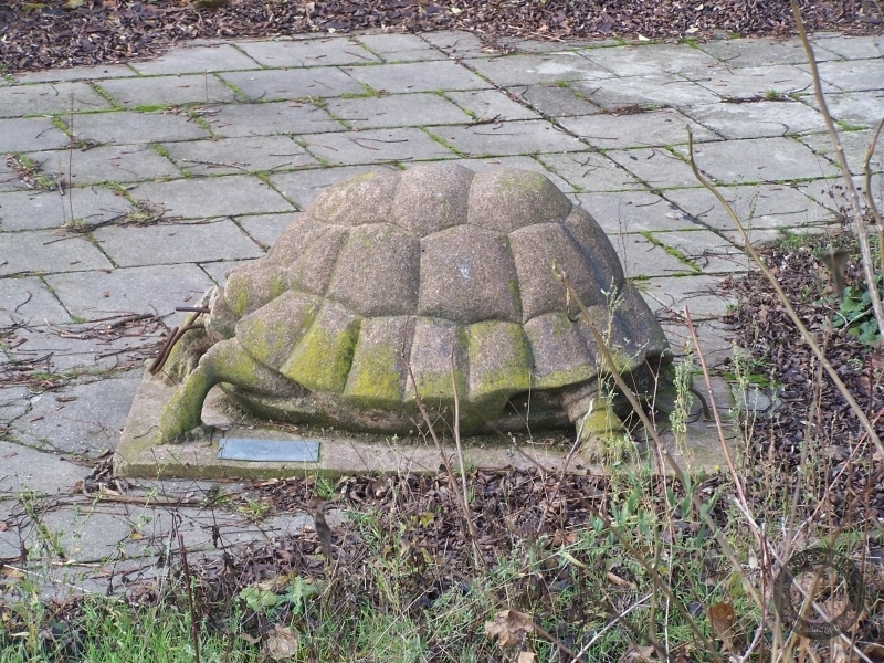 Schildkröte von Otto Leibe in der Hallorenstraße in Halle-Neustadt