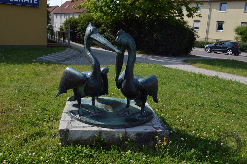 Zwei Pelikane