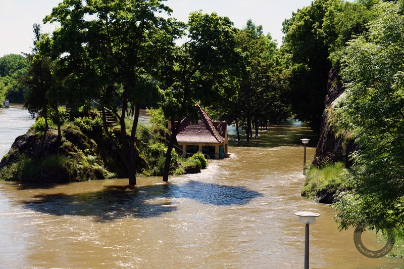 Hochwasser 2013 in Halle (Saale)
