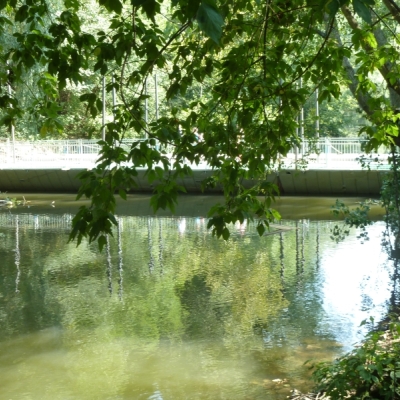 Neue Brücke ("Bürgerbrücke") an der Eissporthalle Halle (Saale)