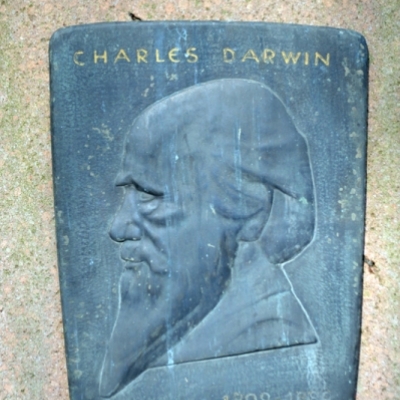 Charles Darwin (Gedenktafel)