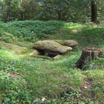 Grabhügel Langer Berg in der Dölauer Heide in Halle (Saale)