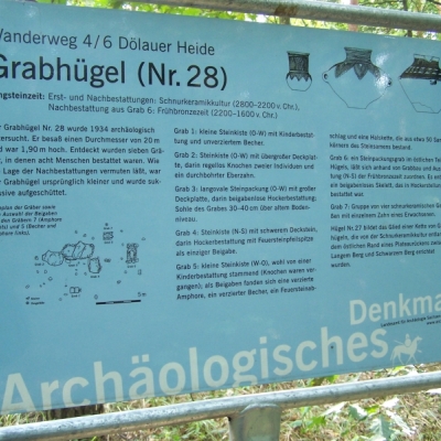 Grabhügel Schwarzer Berg in der Dölauer Heide in Halle (Saale)
