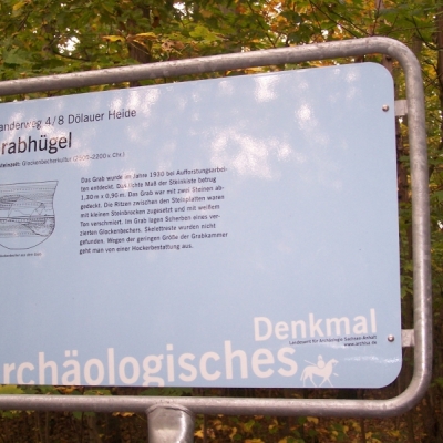 Steinkistengrab beim Waldkater in der Dölauer Heide in Halle (Saale)