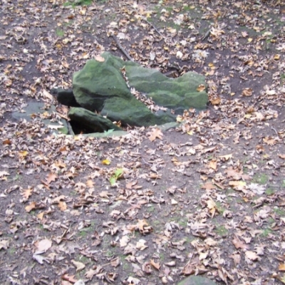 Steinkistengrab beim Waldkater in der Dölauer Heide in Halle (Saale)