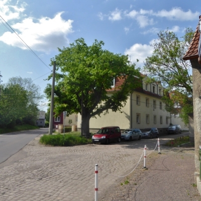 Sedaneiche an der Paul-Singer-Straße in Reideburg in Halle (Saale)