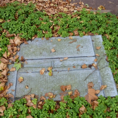 Gedenkplatte Sozialistische Opfer des Faschismus auf dem Gertraudenfriedhof in Halle (Saale)