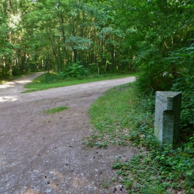 Wegweiserstein Sandbergweg Ecke Hallweg in der Dölauer Heide in Halle (Saale)