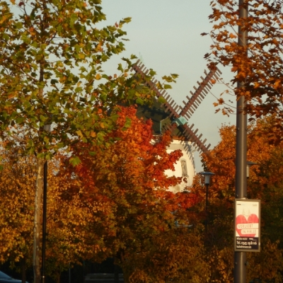 Eselsmühle in Halle-Neustadt