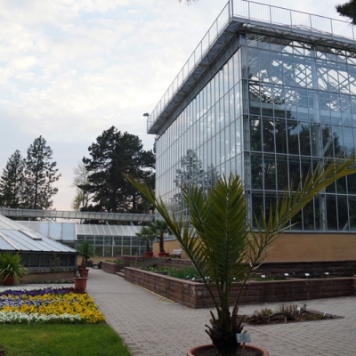 Botanischer Garten Halle (Saale)