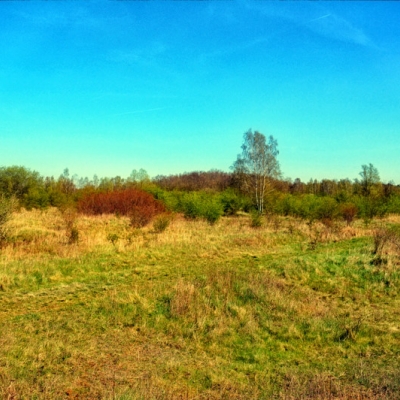 Naturschutzgebiet Brandberge in Halle (Saale)