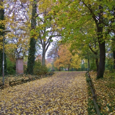 Stadtpark in Halle (Saale)