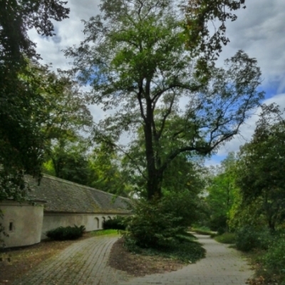 Stadtpark in Halle (Saale)