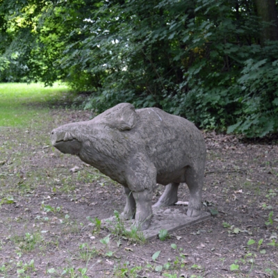 Wildschwein von Otto Leibe