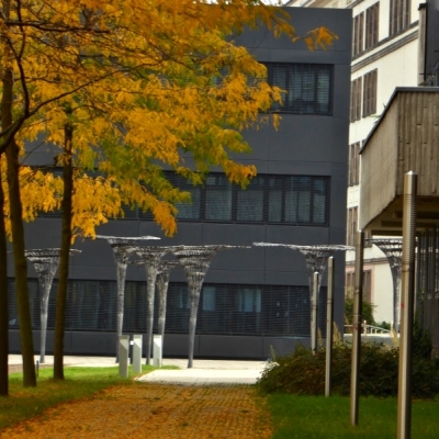 Tanfords Garden auf dem Weinberg Campus in Halle (Saale)