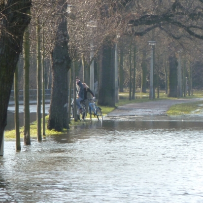 Hochwasser im Januar 2011 in Halle (Saale)